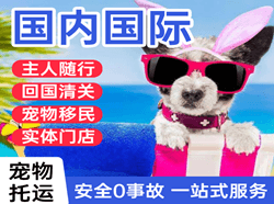 常州航空邮寄国际宠物托运 【国